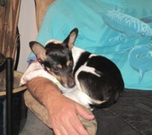 Enlarge photo 4