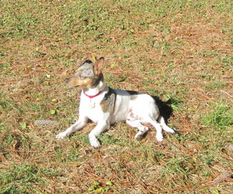 Enlarge photo 13