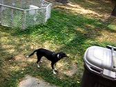 Enlarge MOV 5