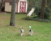 Enlarge photo 8