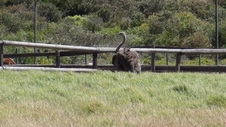 Enlarge photo 26