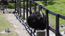 Enlarge photo 27