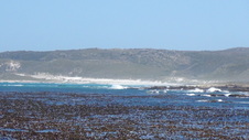 Enlarge photo 32