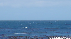 Enlarge photo 33
