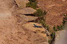 Enlarge photo 50