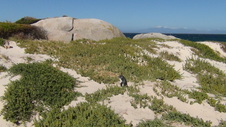 Enlarge photo 68