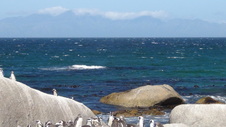 Enlarge photo 75