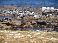 Enlarge photo 34