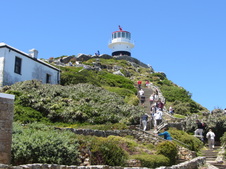 Enlarge photo 45