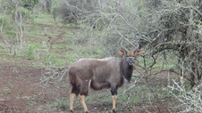 Enlarge photo 7