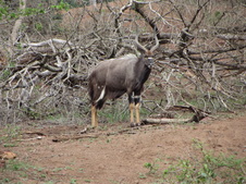 Enlarge photo 9