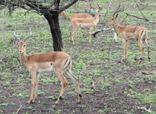 Enlarge photo 17