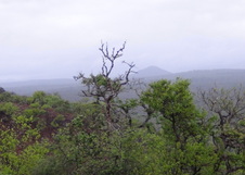 Enlarge photo 33