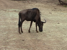 Enlarge photo 49