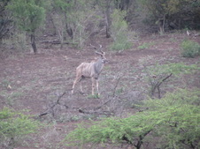 Enlarge photo 118