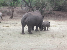 Enlarge photo 29