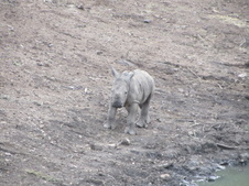 Enlarge photo 32