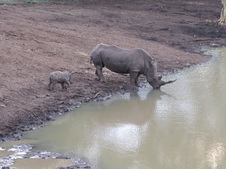 Enlarge photo 30