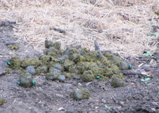 Enlarge photo 53