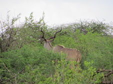 Enlarge photo 119