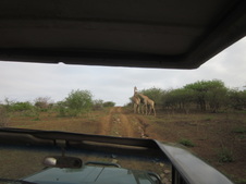 Enlarge photo 109