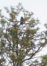 Enlarge photo 84