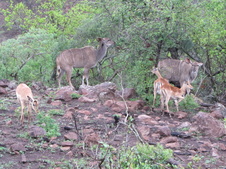Enlarge photo 120