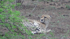 Enlarge photo 23
