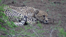Enlarge photo 21