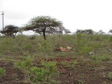 Enlarge photo 25