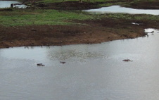 Enlarge photo 43