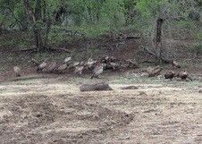 Enlarge photo 61