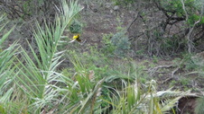 Enlarge photo 63
