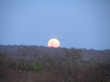 Enlarge photo 37