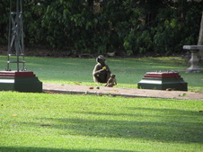 Enlarge photo 45