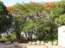 Enlarge photo 15