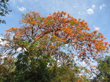 Enlarge photo 16