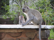 Enlarge photo 52