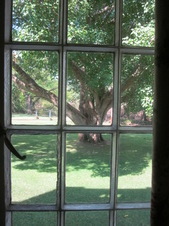 Enlarge photo 43