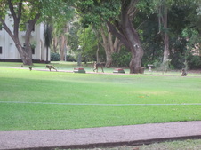 Enlarge photo 44