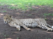 Enlarge photo 15