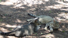 Enlarge photo 1