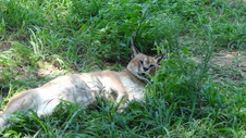 Enlarge photo 4