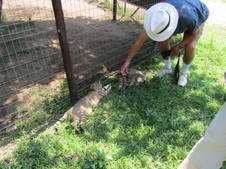 Enlarge photo 3