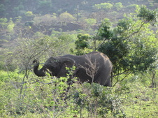 Enlarge photo 27