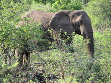 Enlarge photo 26