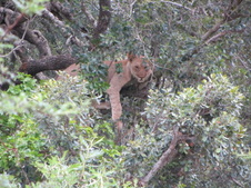 Enlarge photo 22