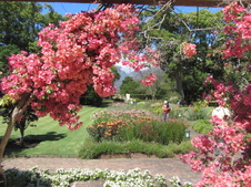 Enlarge photo 27