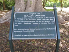 Enlarge photo 30