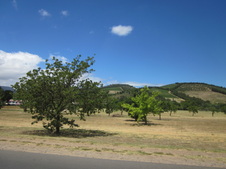 Enlarge photo 19